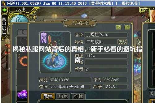 揭秘私服网站背后的真相，新手必看的避坑指南